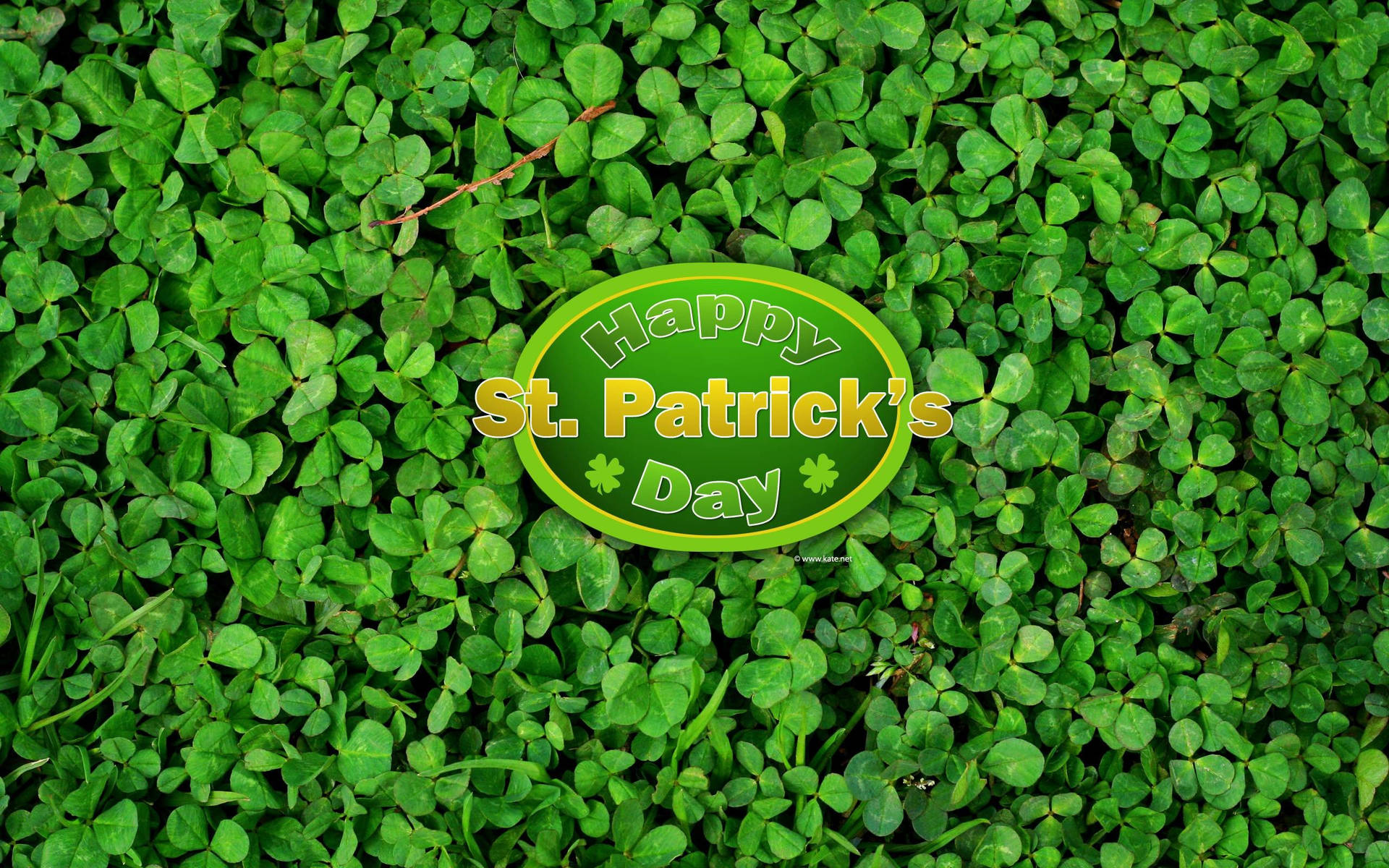 Clover Art St Patrick's Day Background