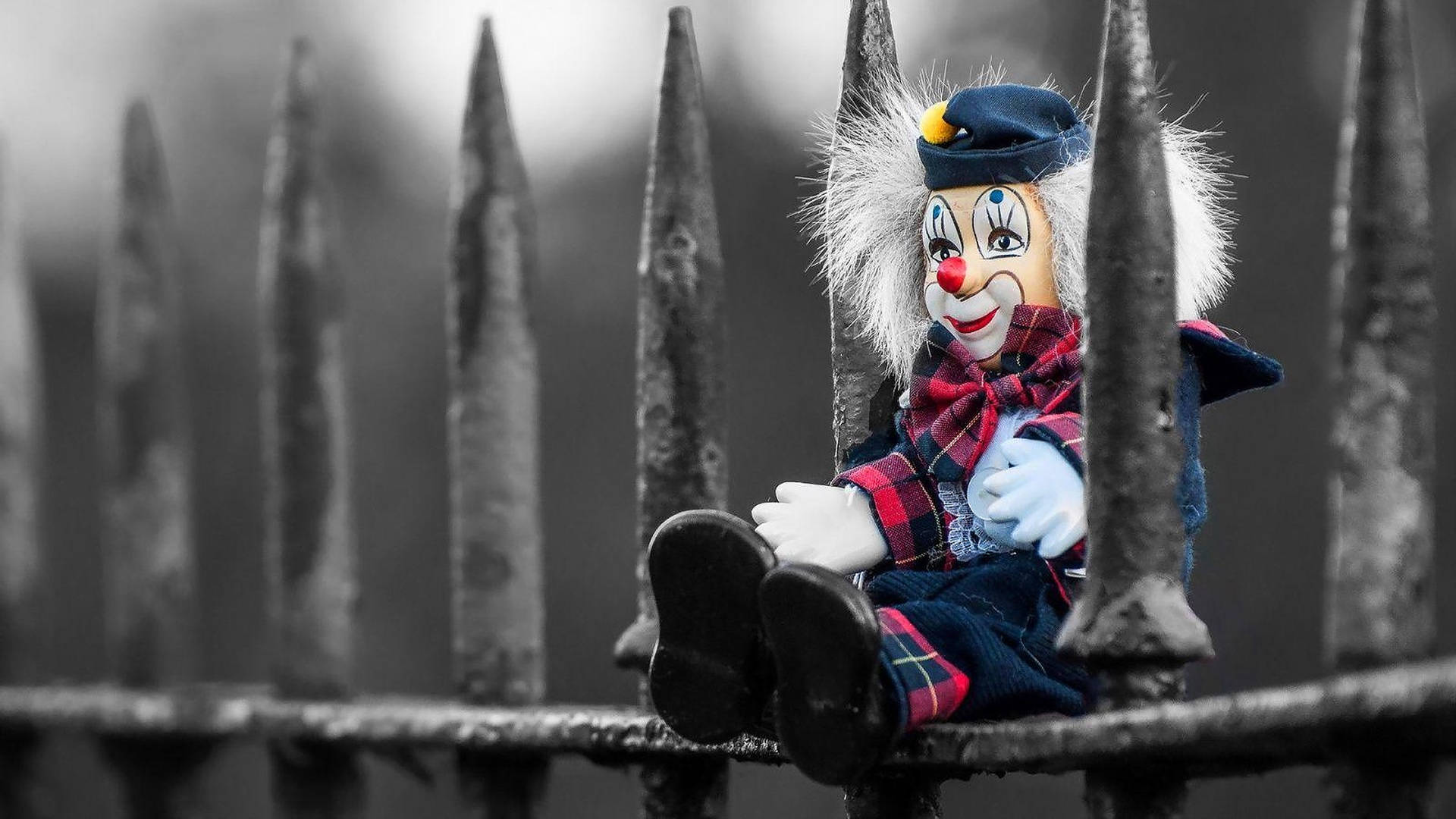 Clown Doll On Fence Background