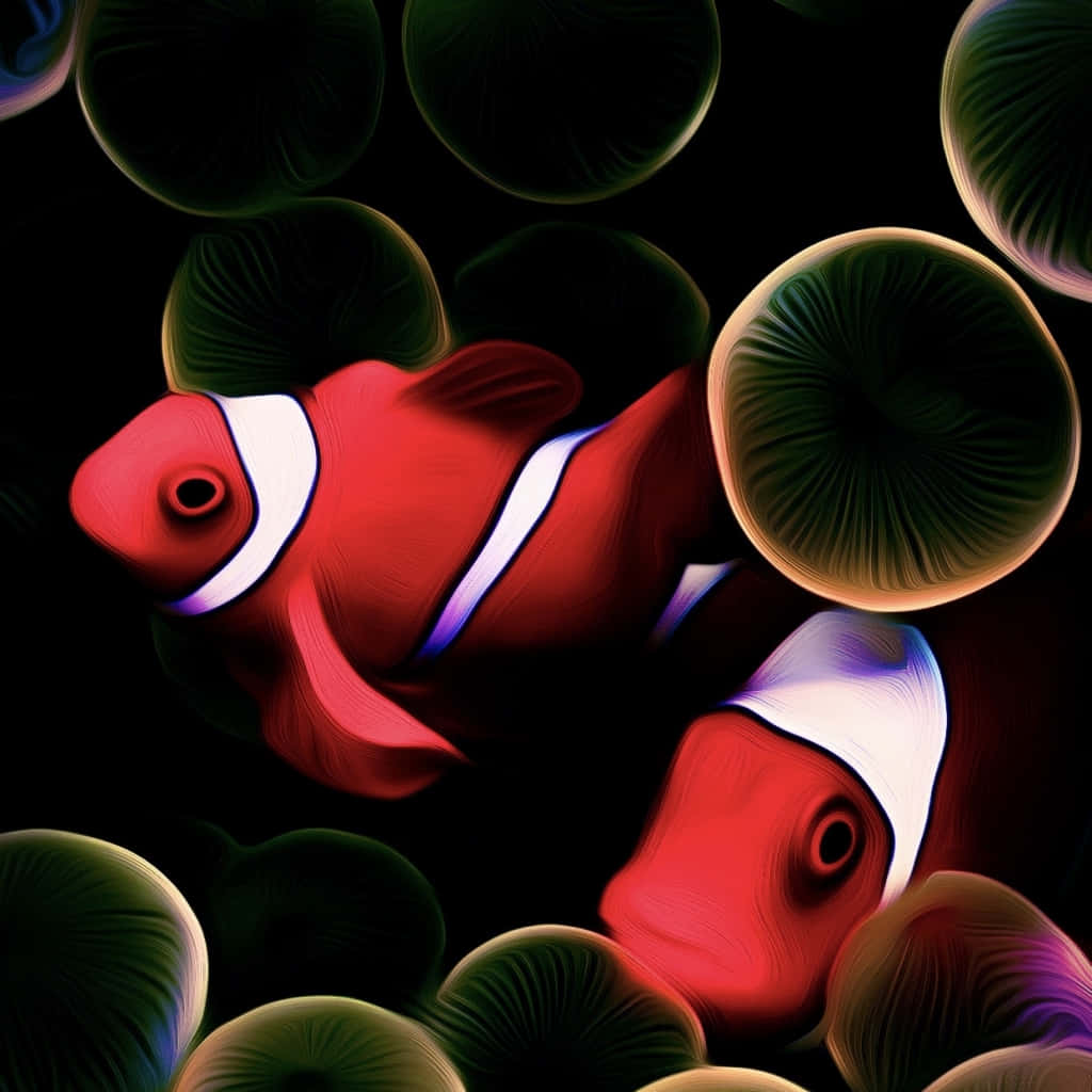 Clownfish In The Dark Background