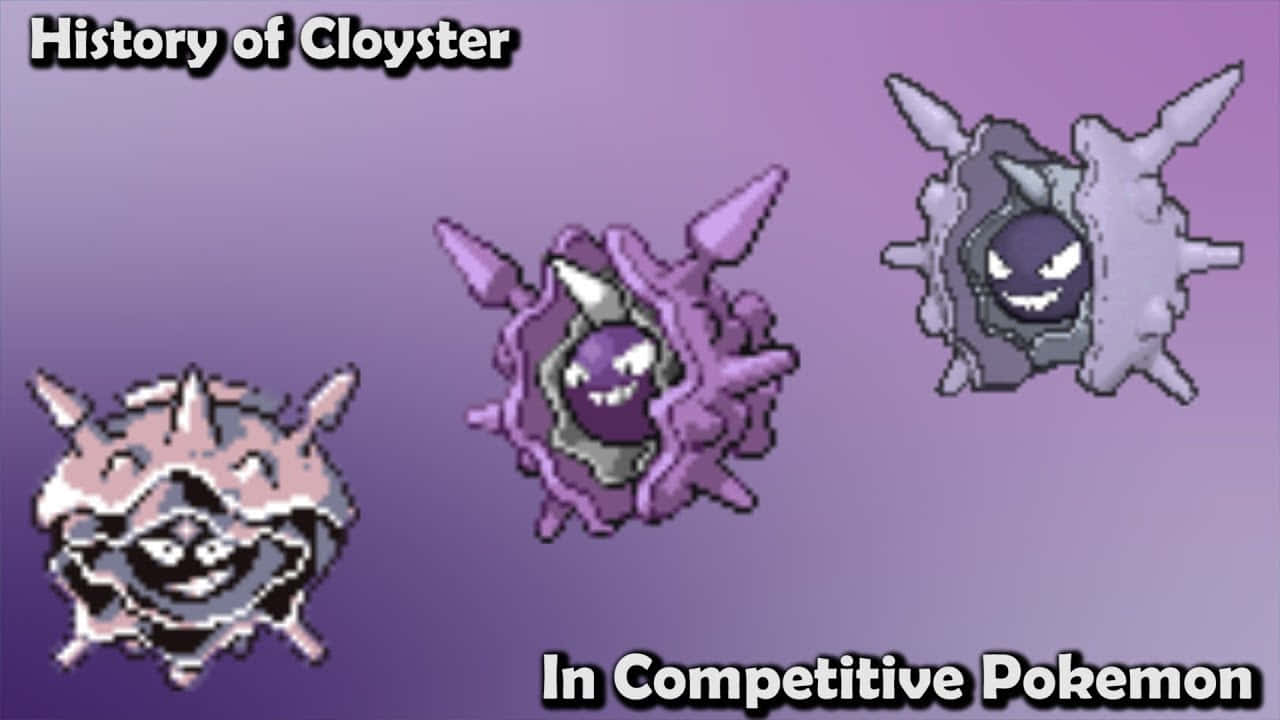 Cloyster History