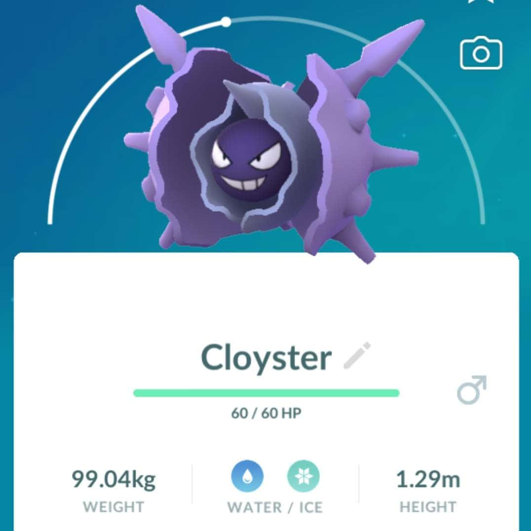 Cloyster Pokemon Go Info Background