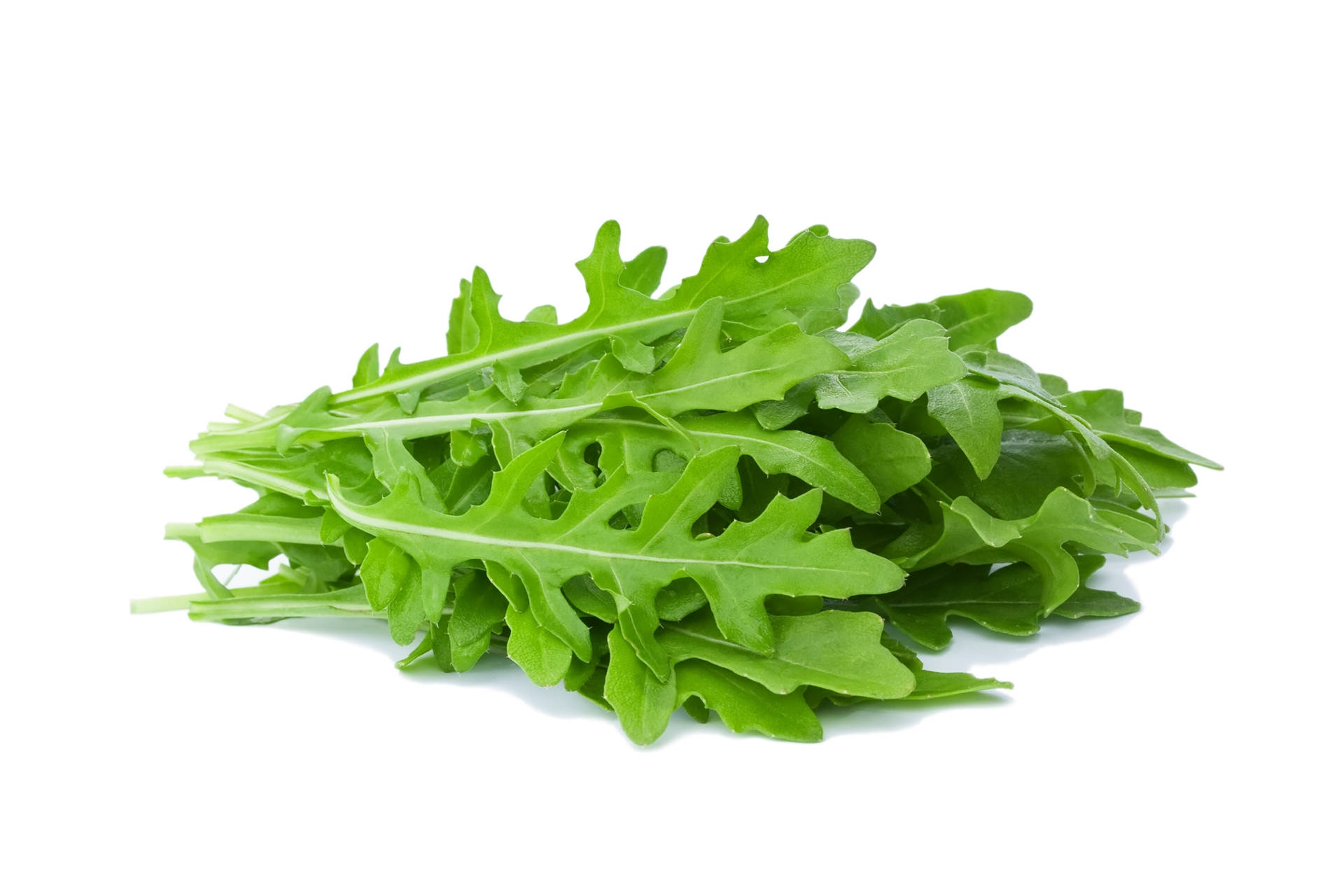 Clump Of Fresh Arugula Leaves