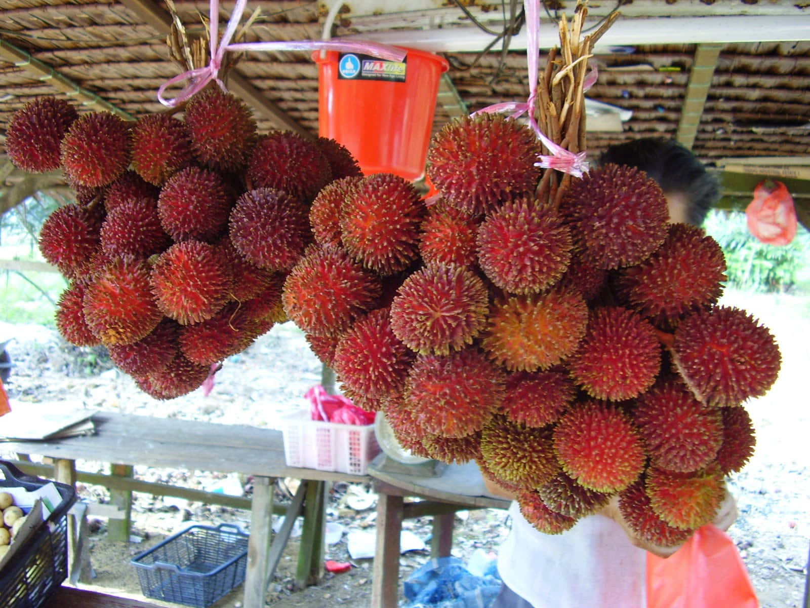 Cluster Of Ripe Pulasan For Sale
