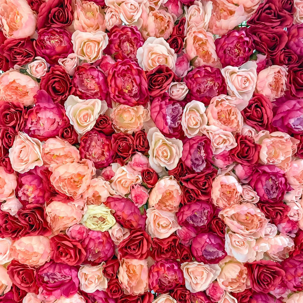 Clustered Roses Desktop Background