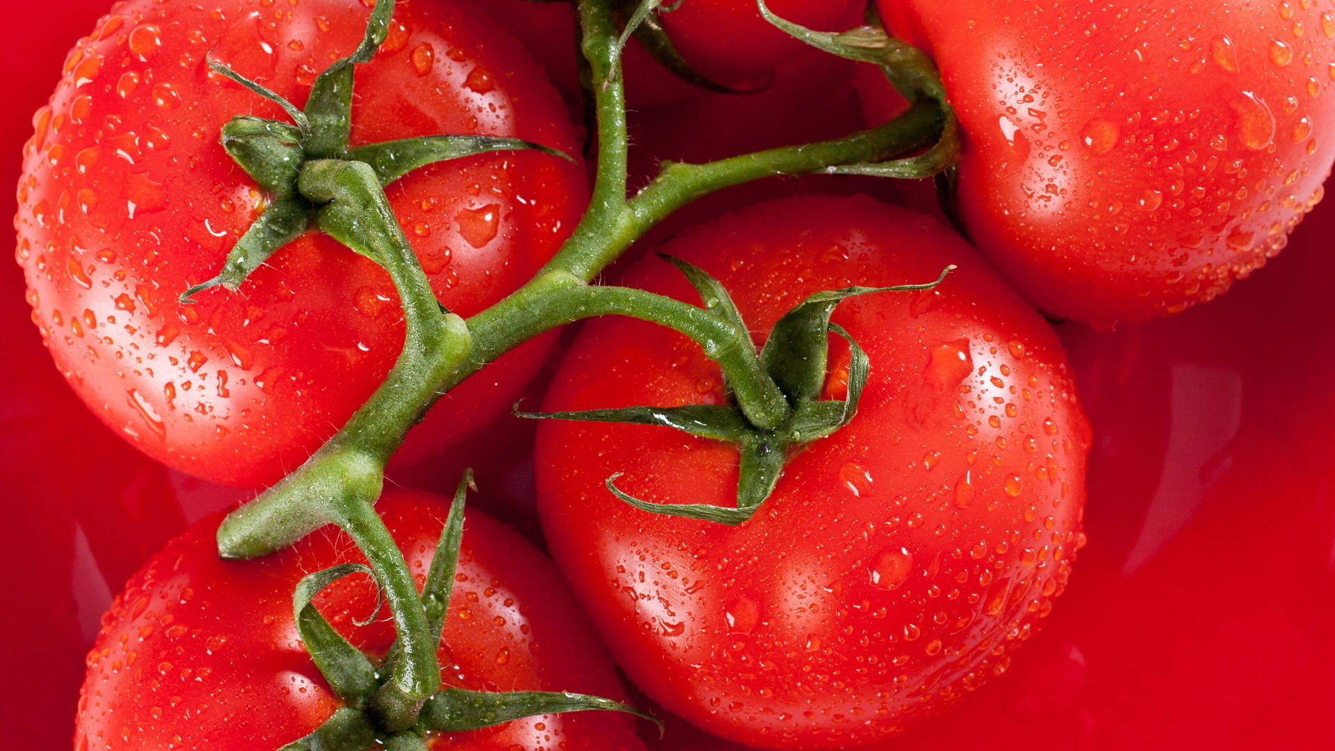 Clustered Tomato Fruits Flat Lay Shot Background