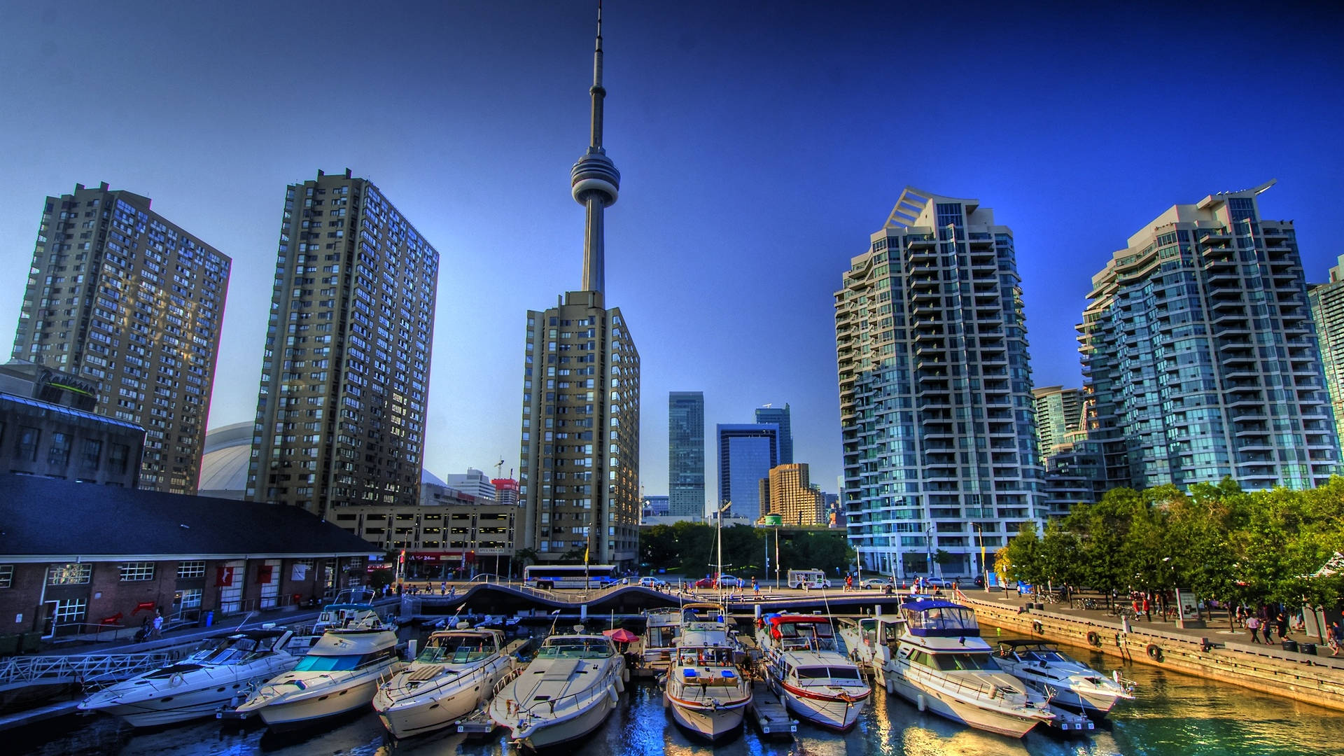Cn Tower Waterfront Toronto Background
