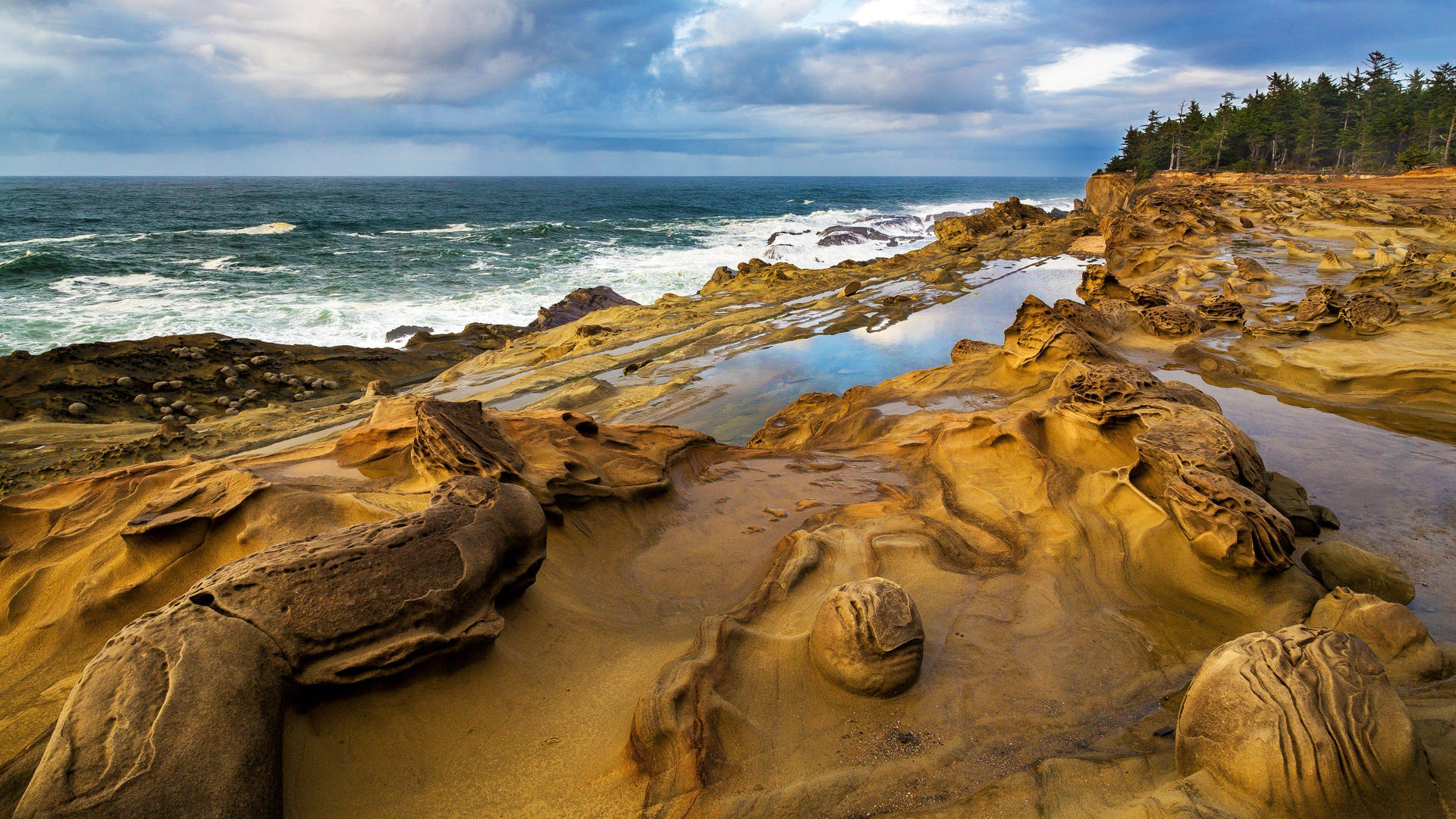 Coastal Beach Rocks Background