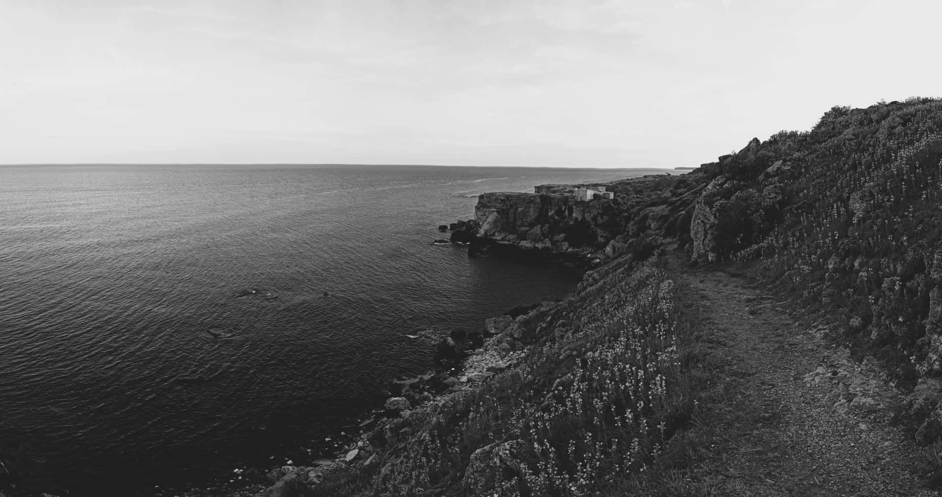 Coastal_ Cliffside_ Black_and_ White