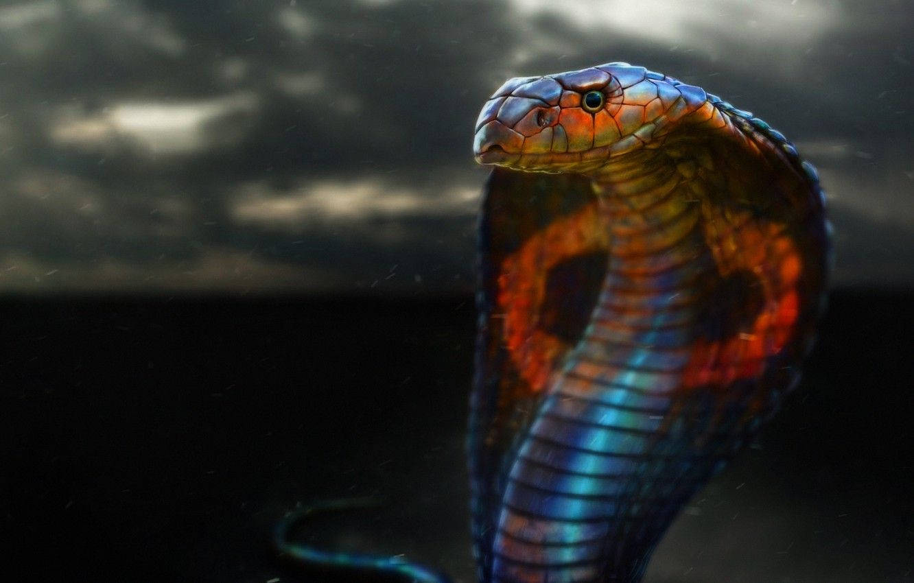 Cobra Black And Red Storm Clouds Background