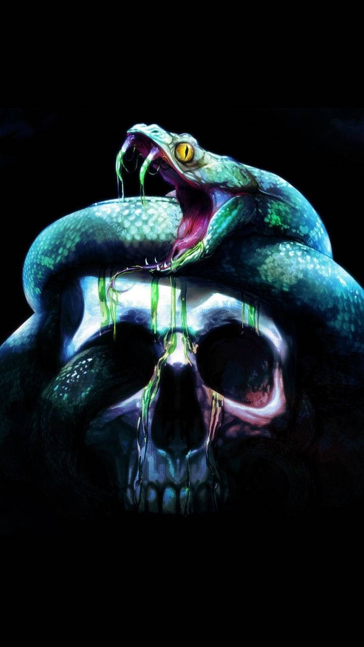 Cobra Digital Art On Skull Aesthetic Background