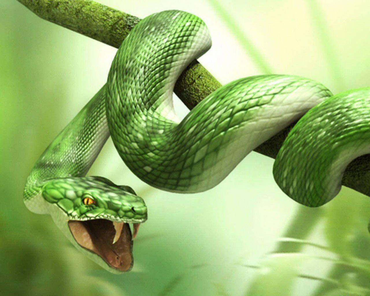 Cobra Green Aeshetic Coiled On Branch Background