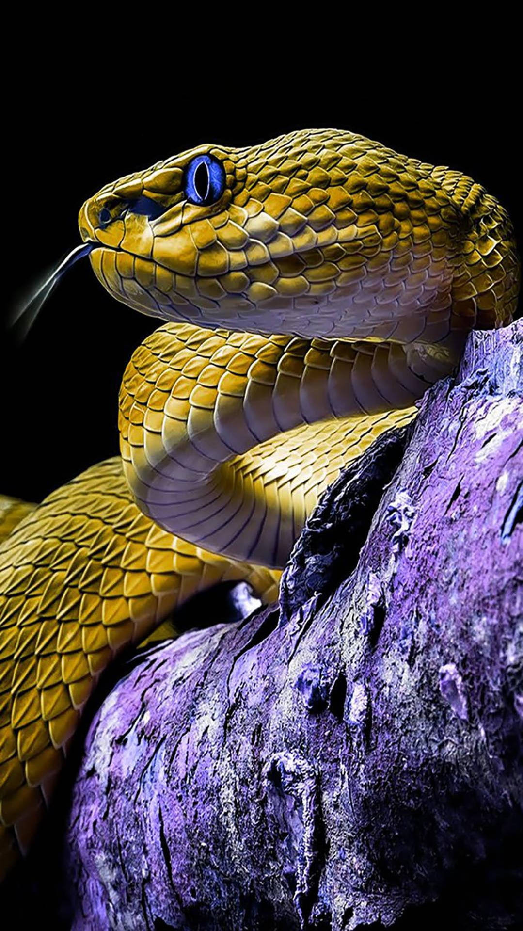 Cobra Green Hissing On Branch Background