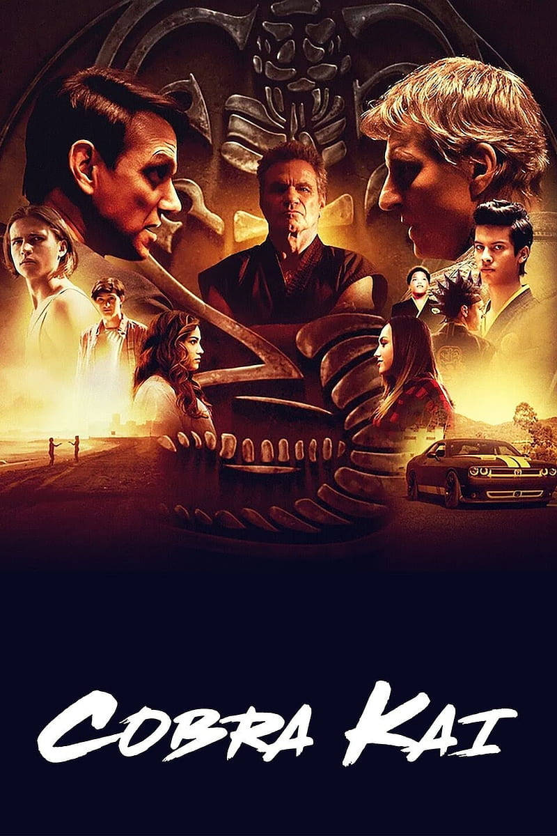 Cobra Kai - Hd 720p X264-dvdrip Background