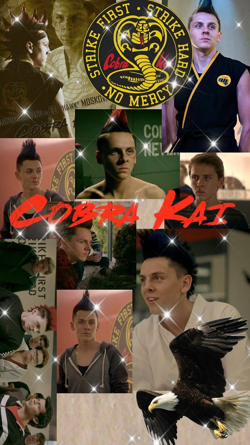 Cobra Kai Phone 850 X 1511 Wallpaper Background