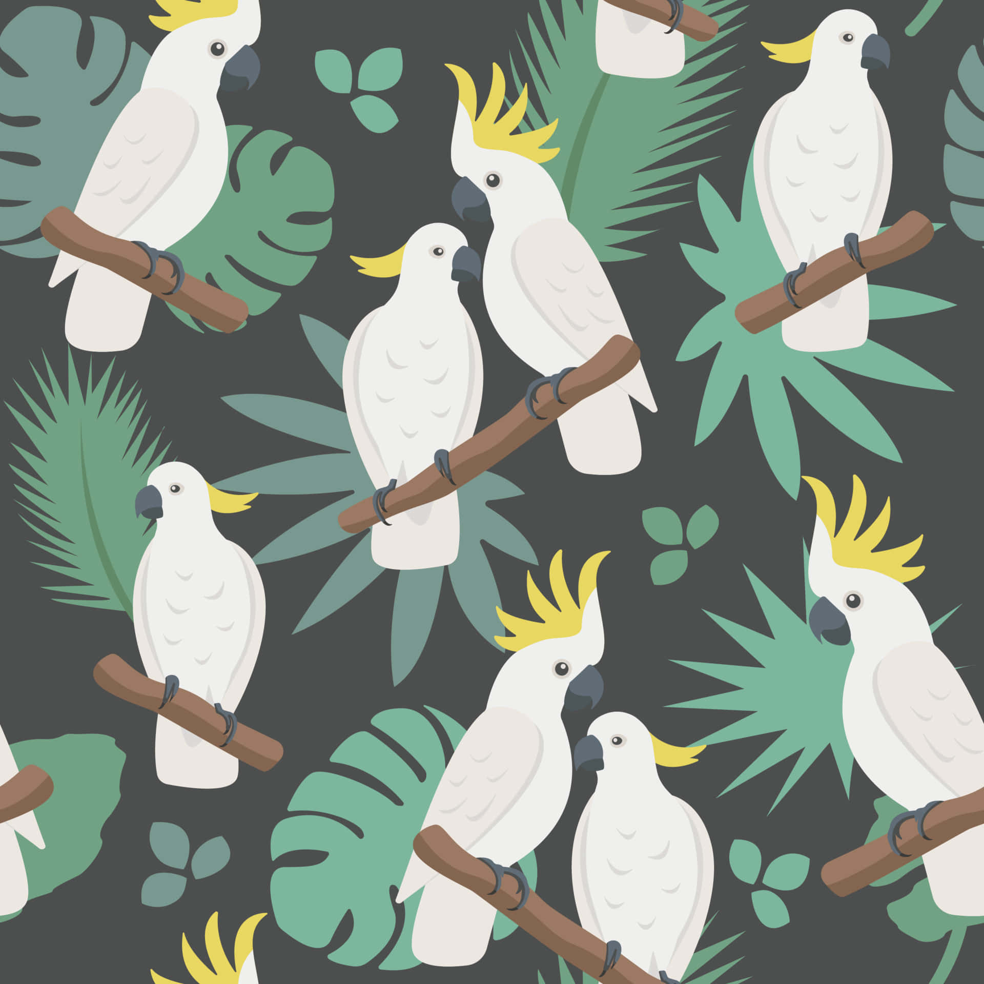 Cockatoo Pattern Background Background