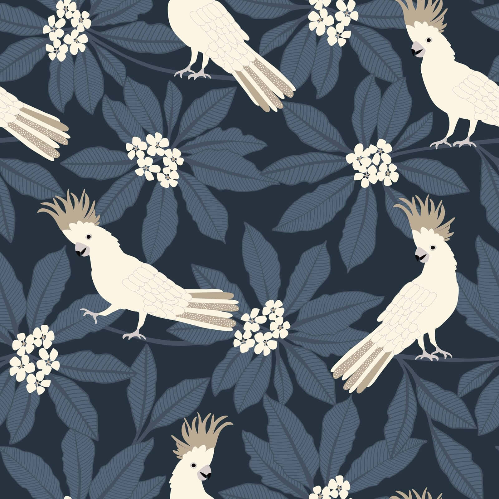 Cockatoo Pattern Design Background