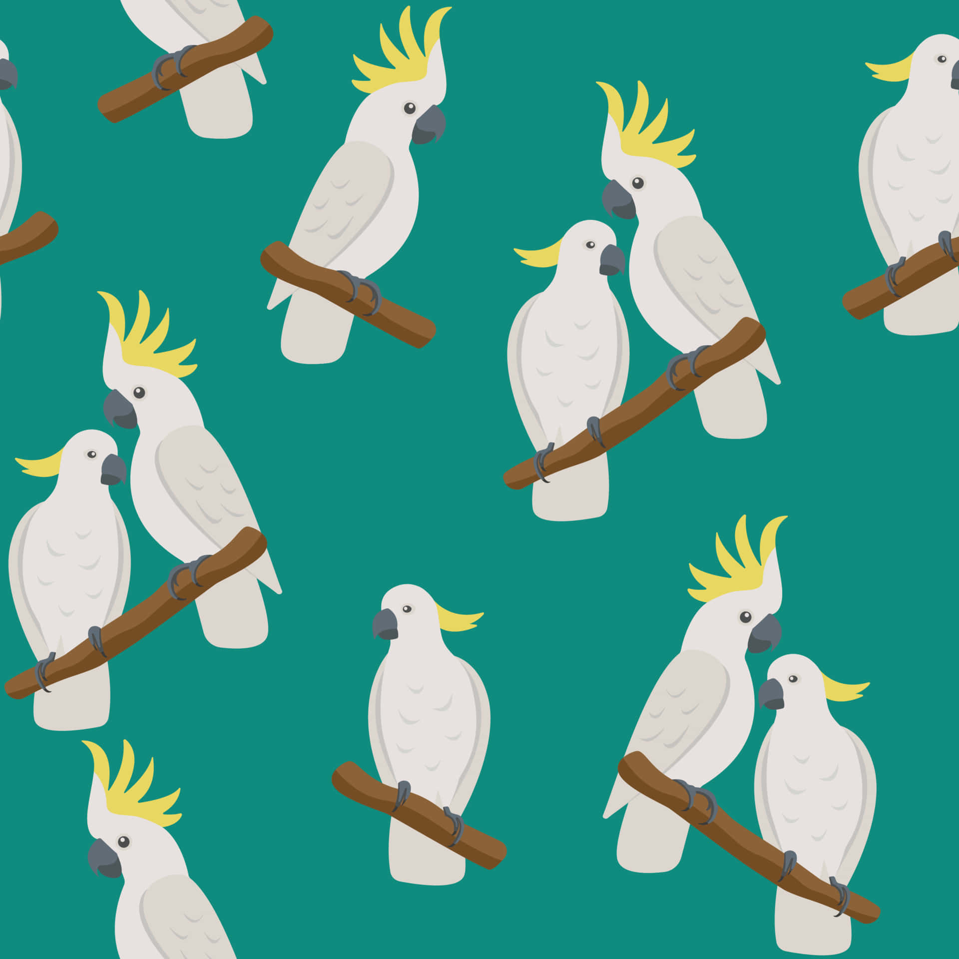 Cockatoo Pattern Wallpaper Background