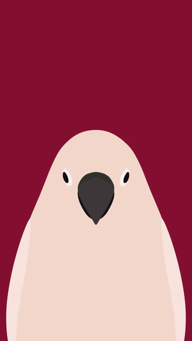 Cockatoo Portrait Simple Illustration Background