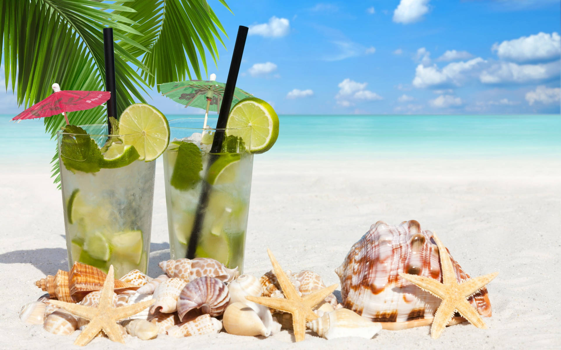 Cocktails And Seashells Tropical Desktop Background