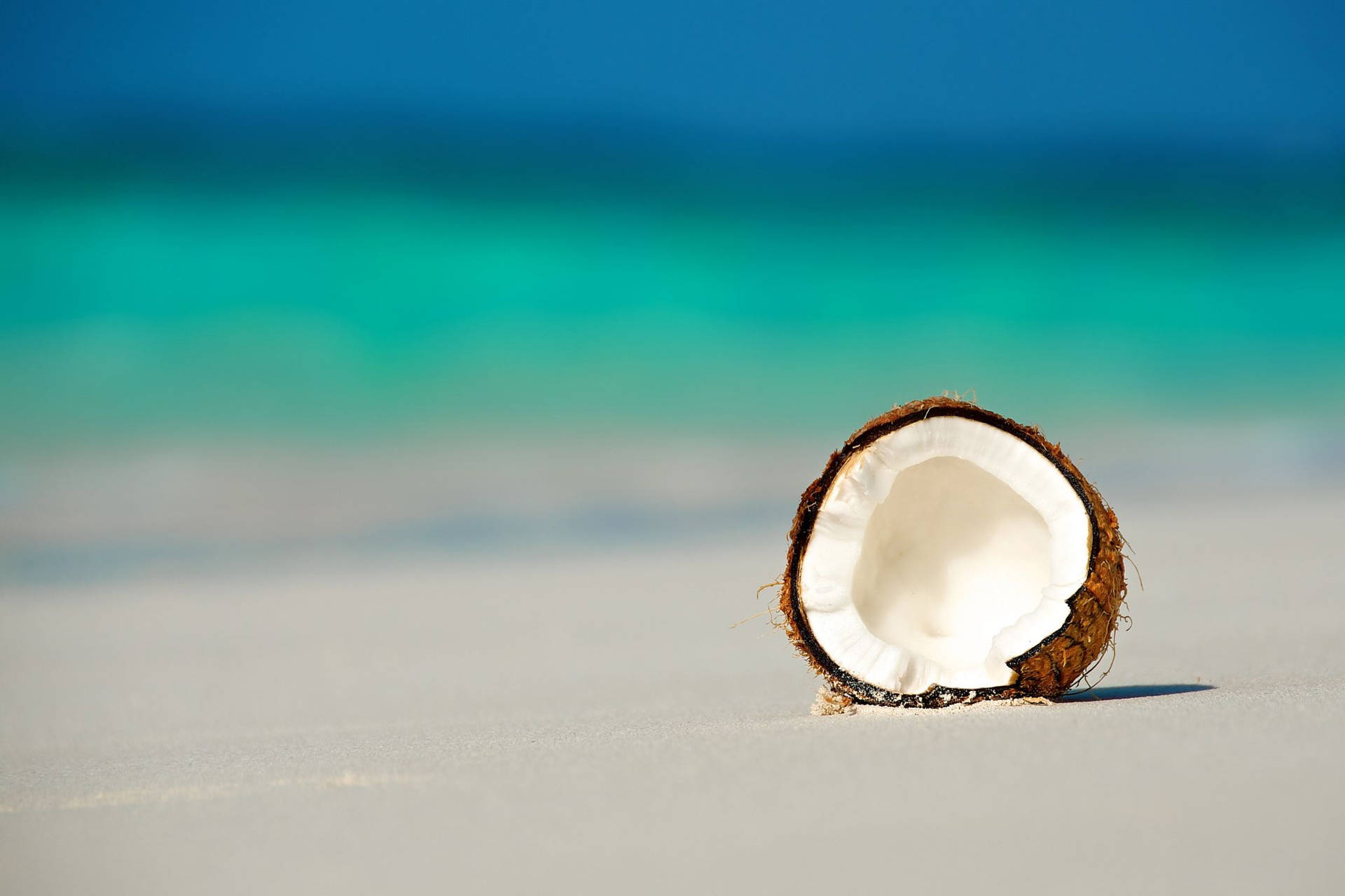 Coconut Fruit On White Sand