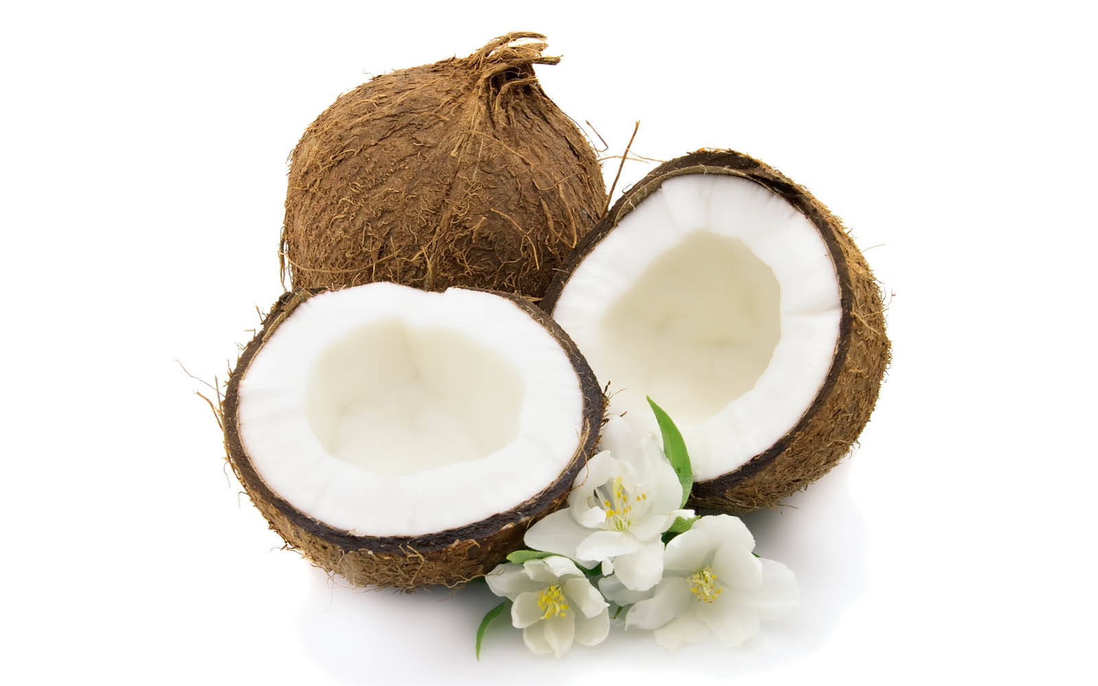 Coconut Fruit With Camellia Flowers Background