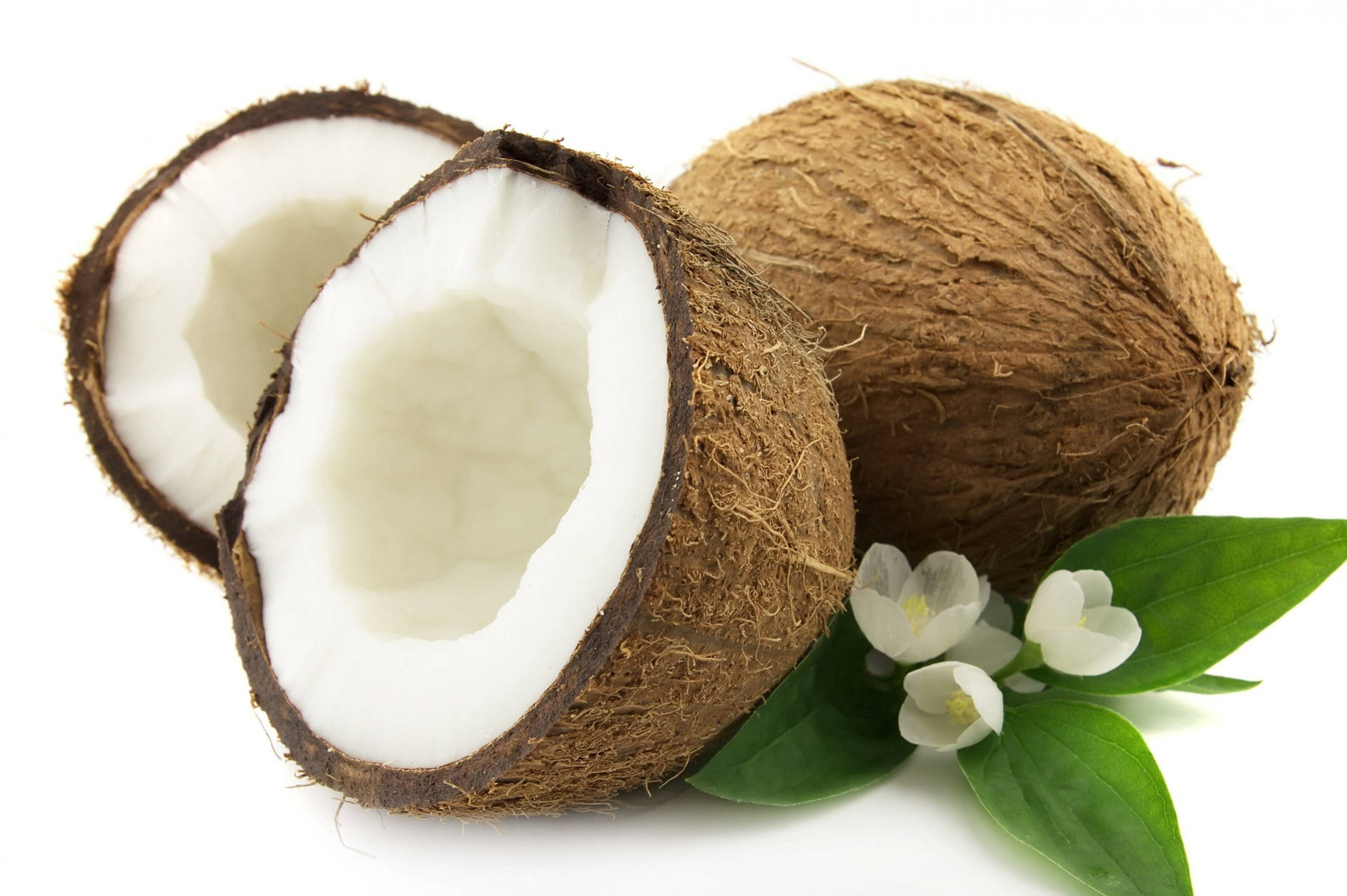 Coconut Fruit With White Camellia Flowers Background