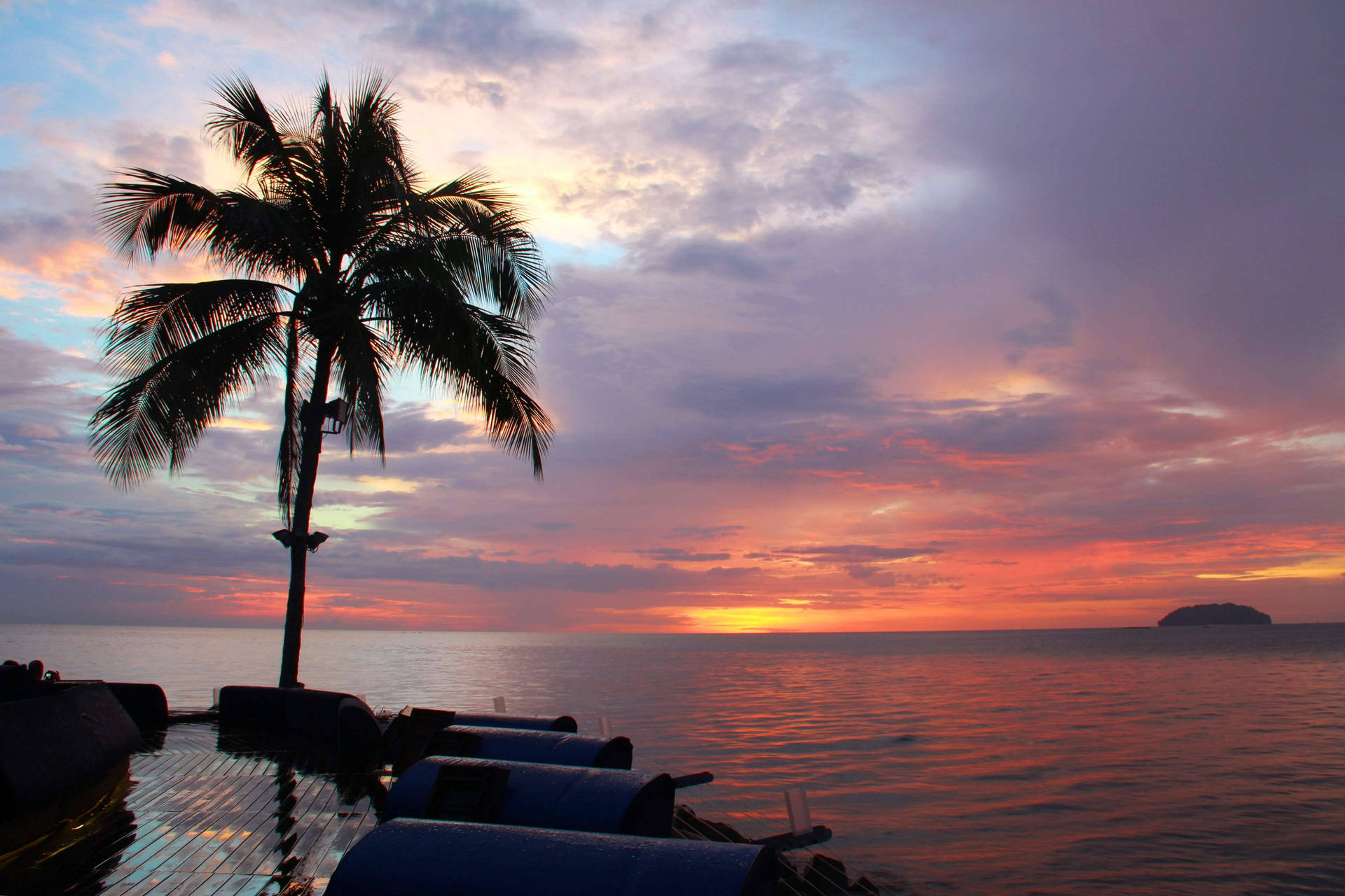 Coconut Tree Silhouette With Sunset Sky Background