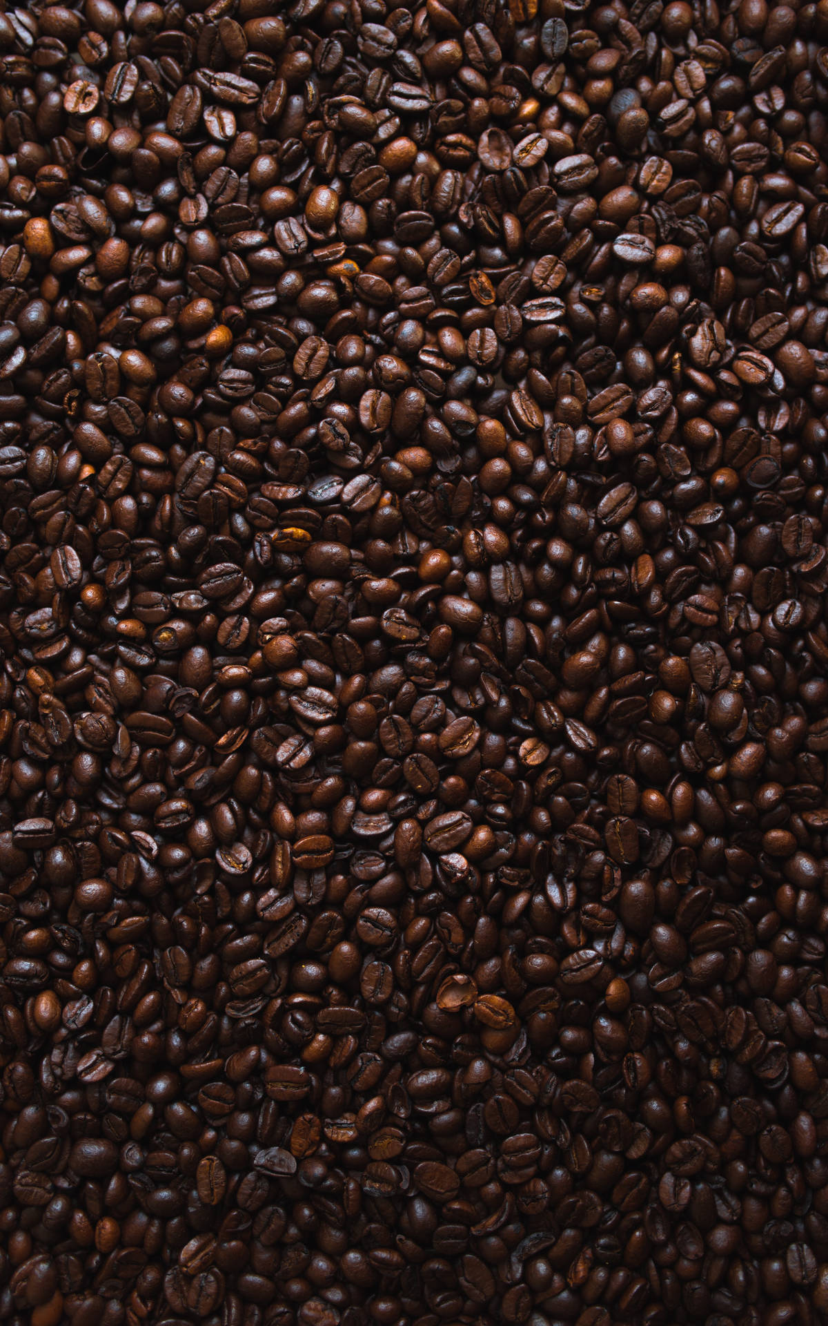 Coffee Aesthetic Pattern Background