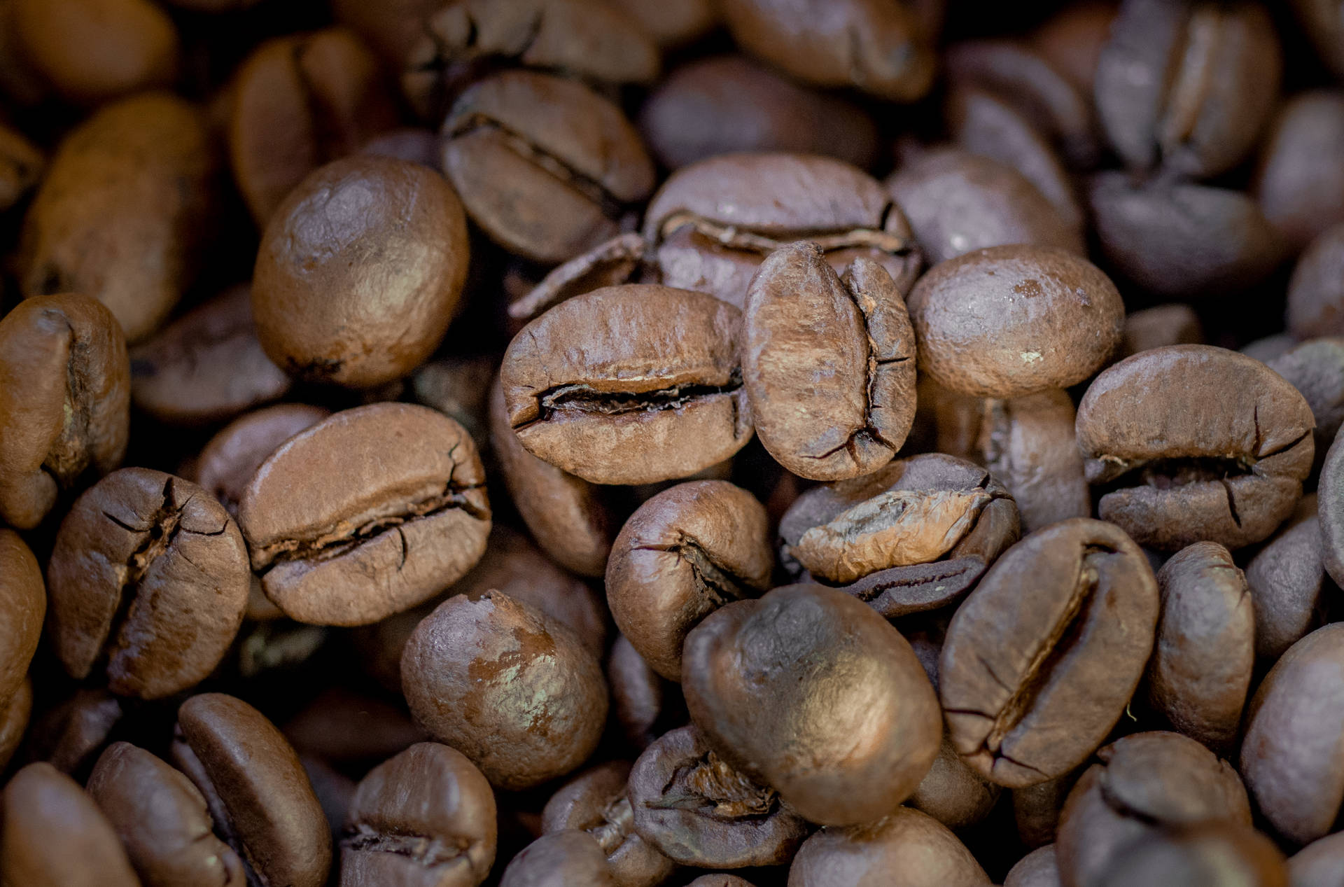 Coffee Beans In Macro Background