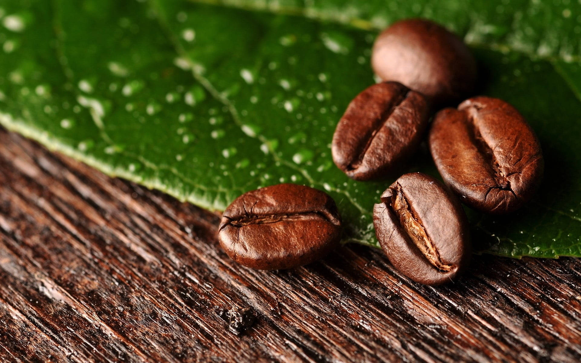 Coffee Beans On Leaf