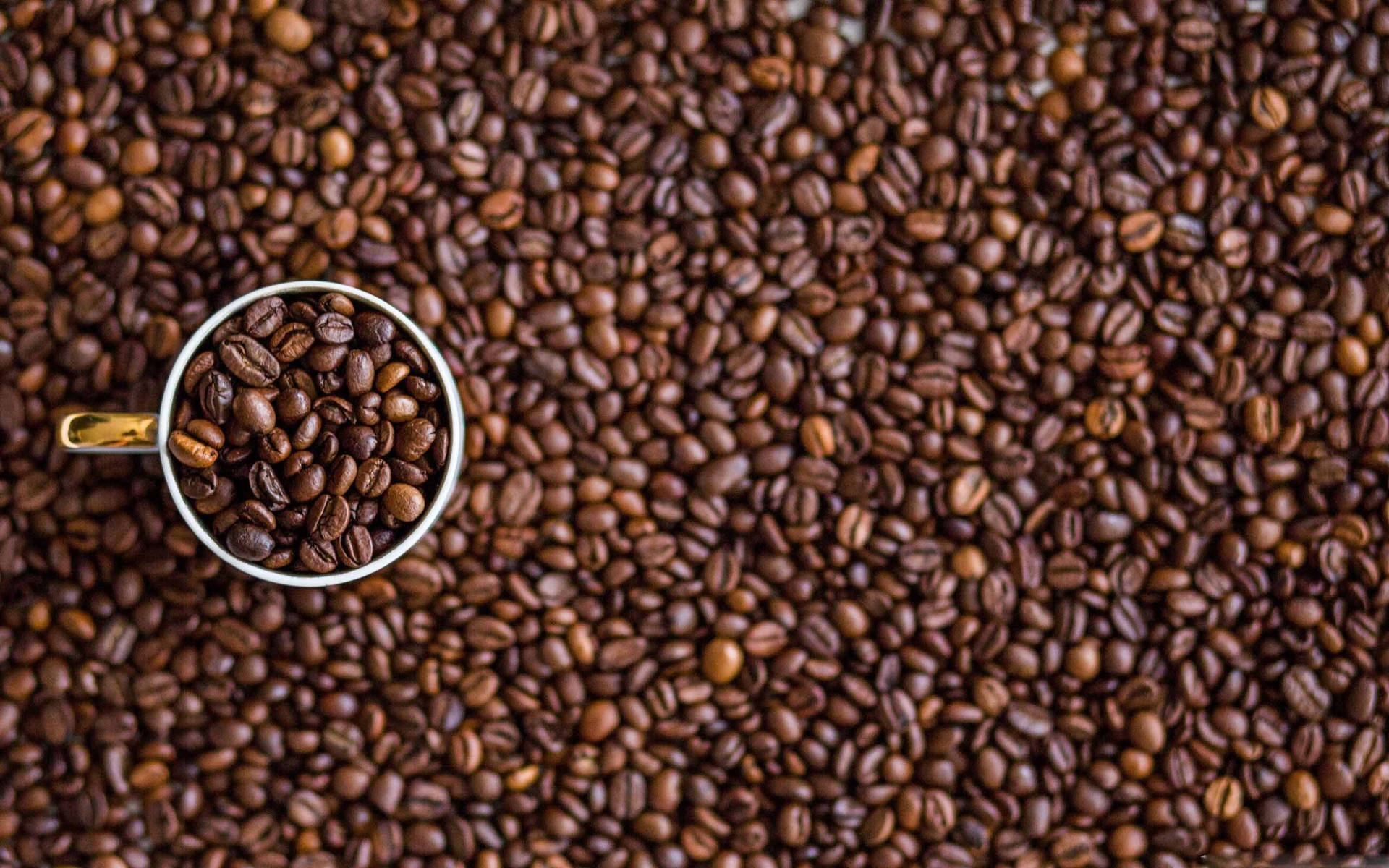 Coffee Beans On Mug