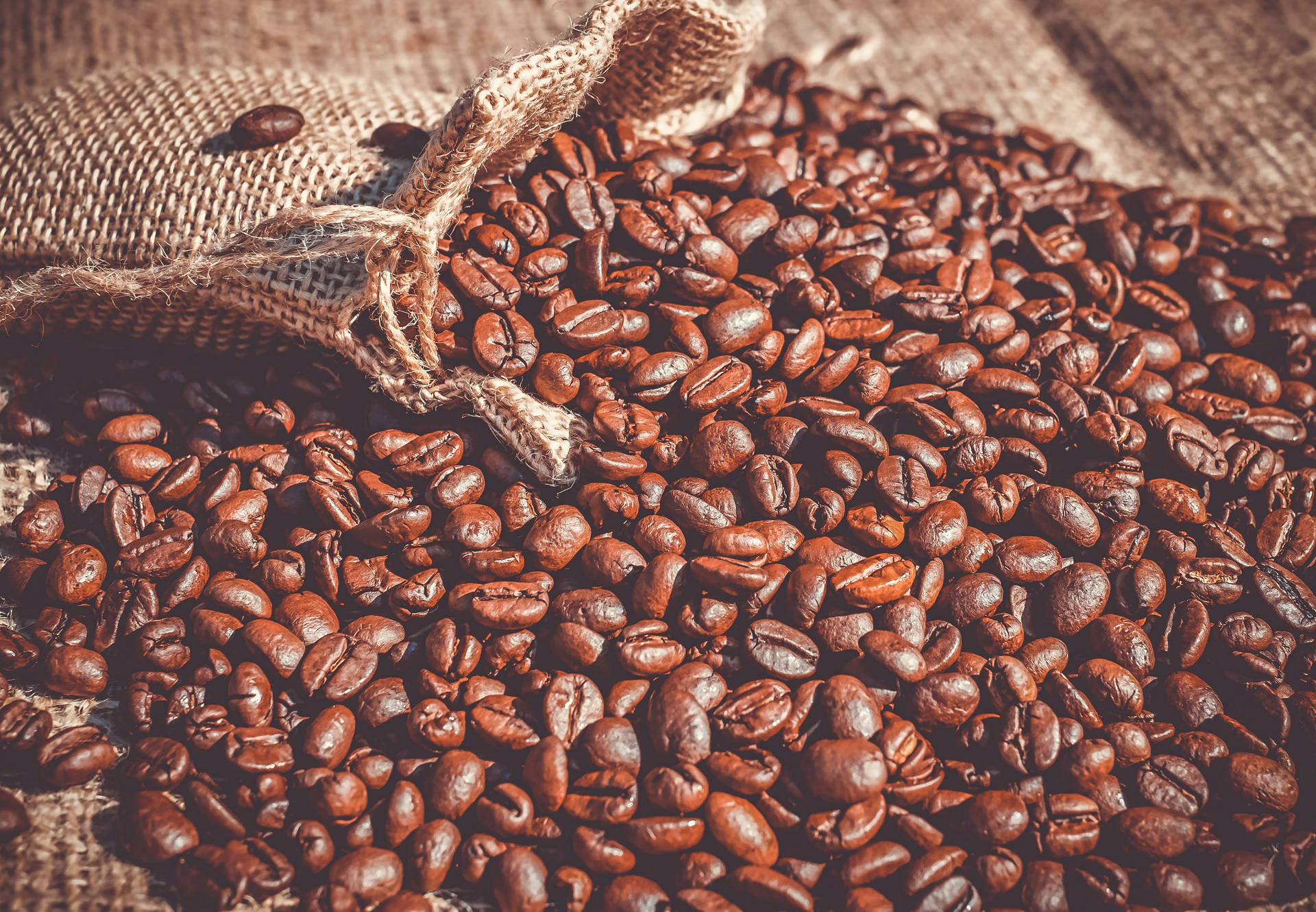 Coffee Beans Sunlight Background