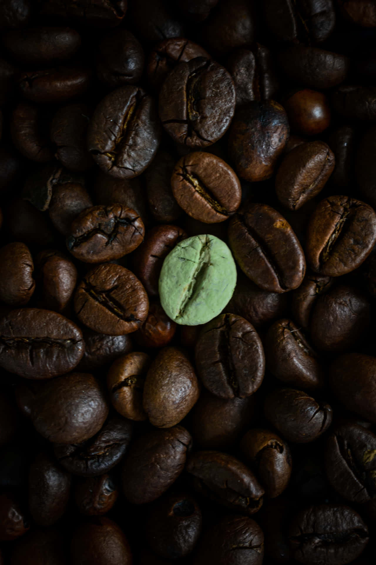 Coffee Beans With A Green Conspicuous Bean
