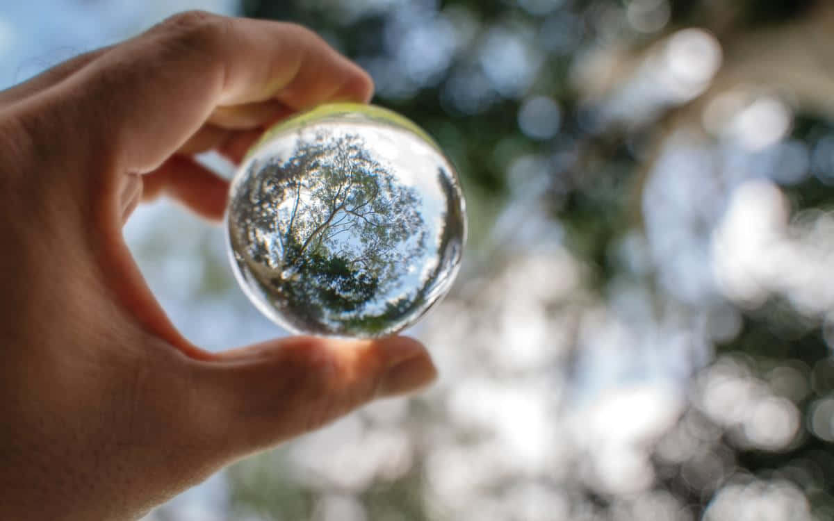 Coherent Crystal Ball