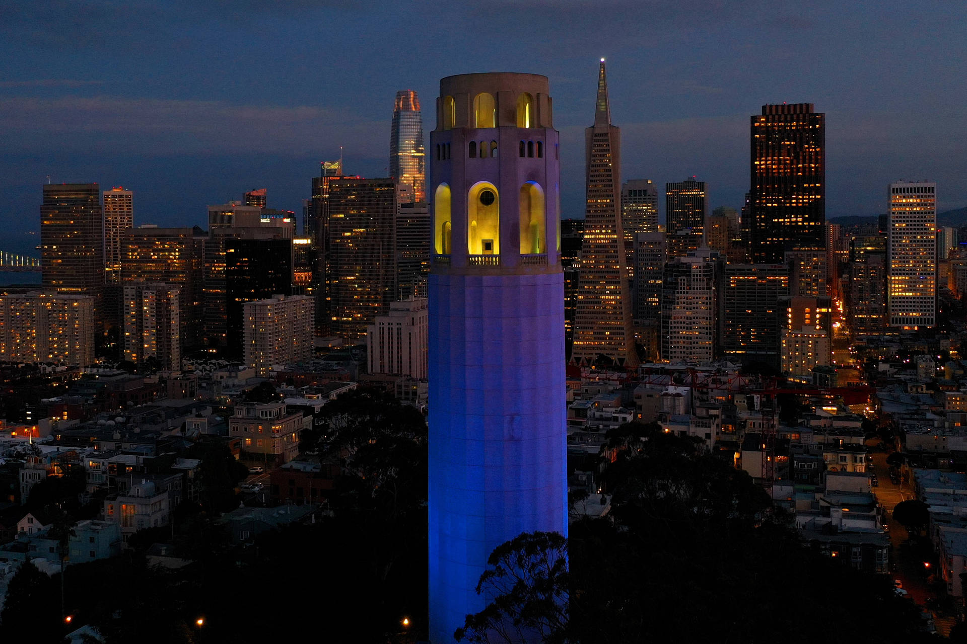 Coit Tower Covid Tribute Background