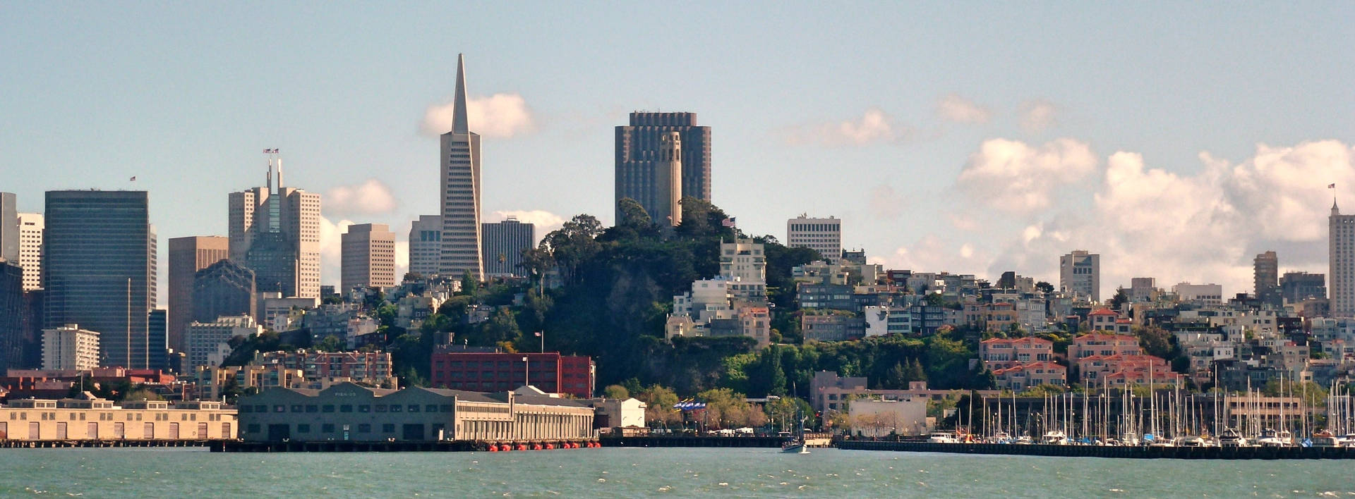 Coit Tower Daytime View Background