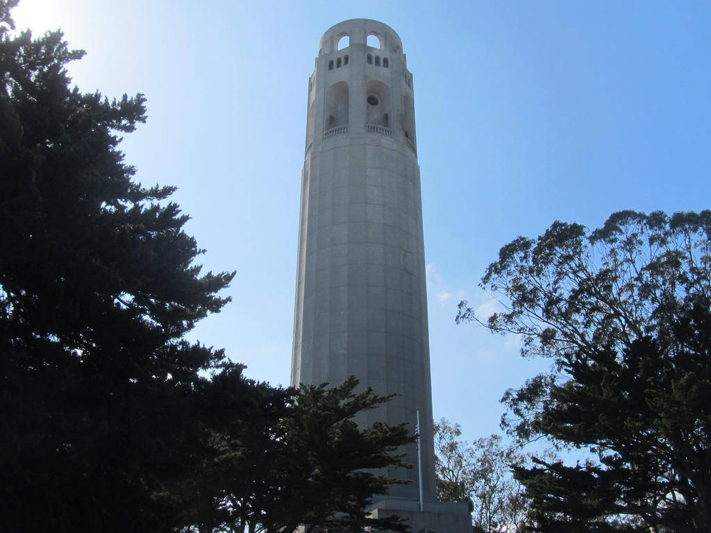 Coit Tower From Below