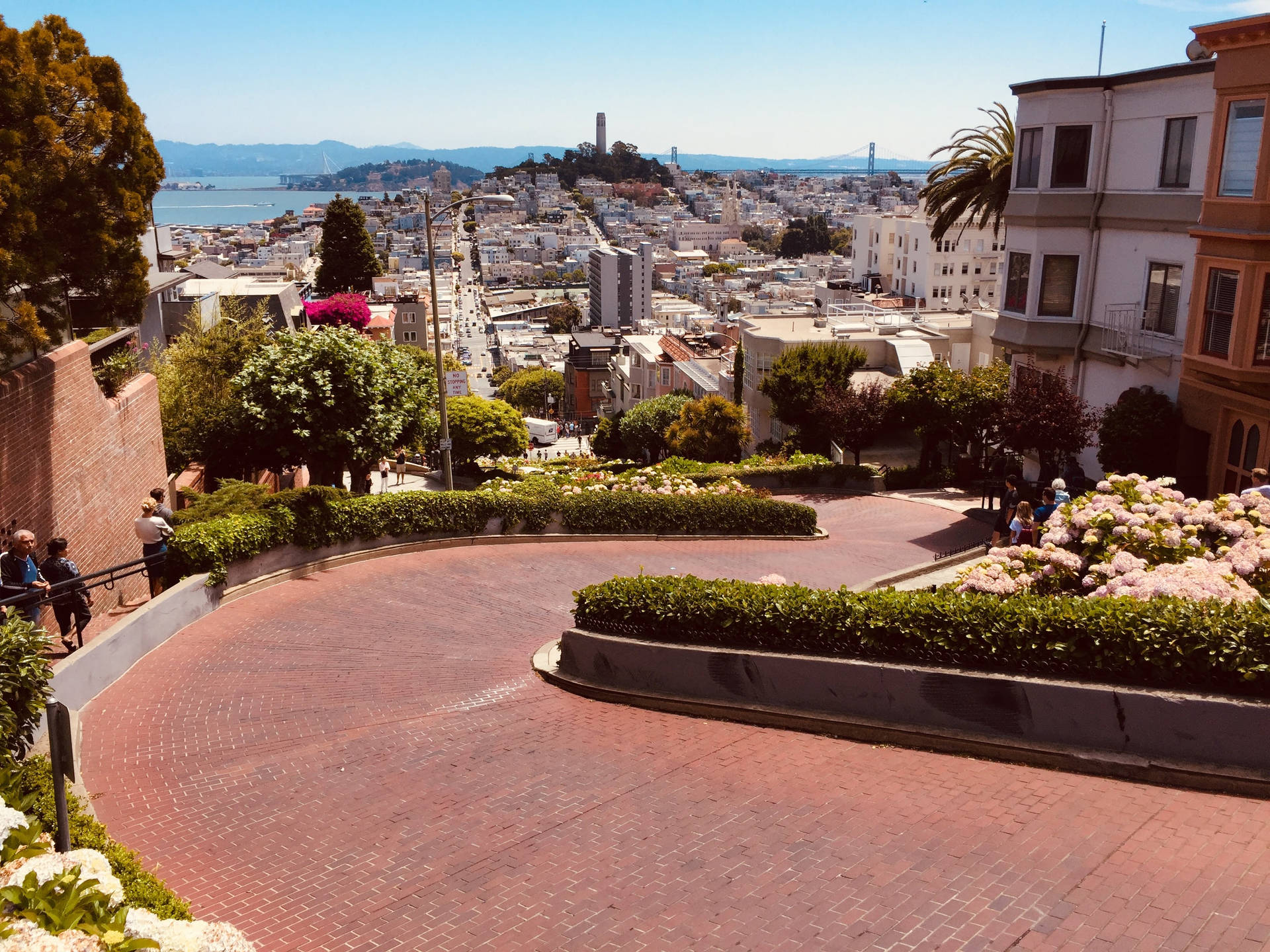 Coit Tower From Lombard Street Background