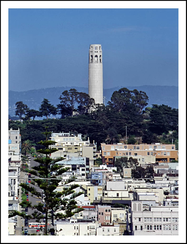 Coit Tower Postcard Background