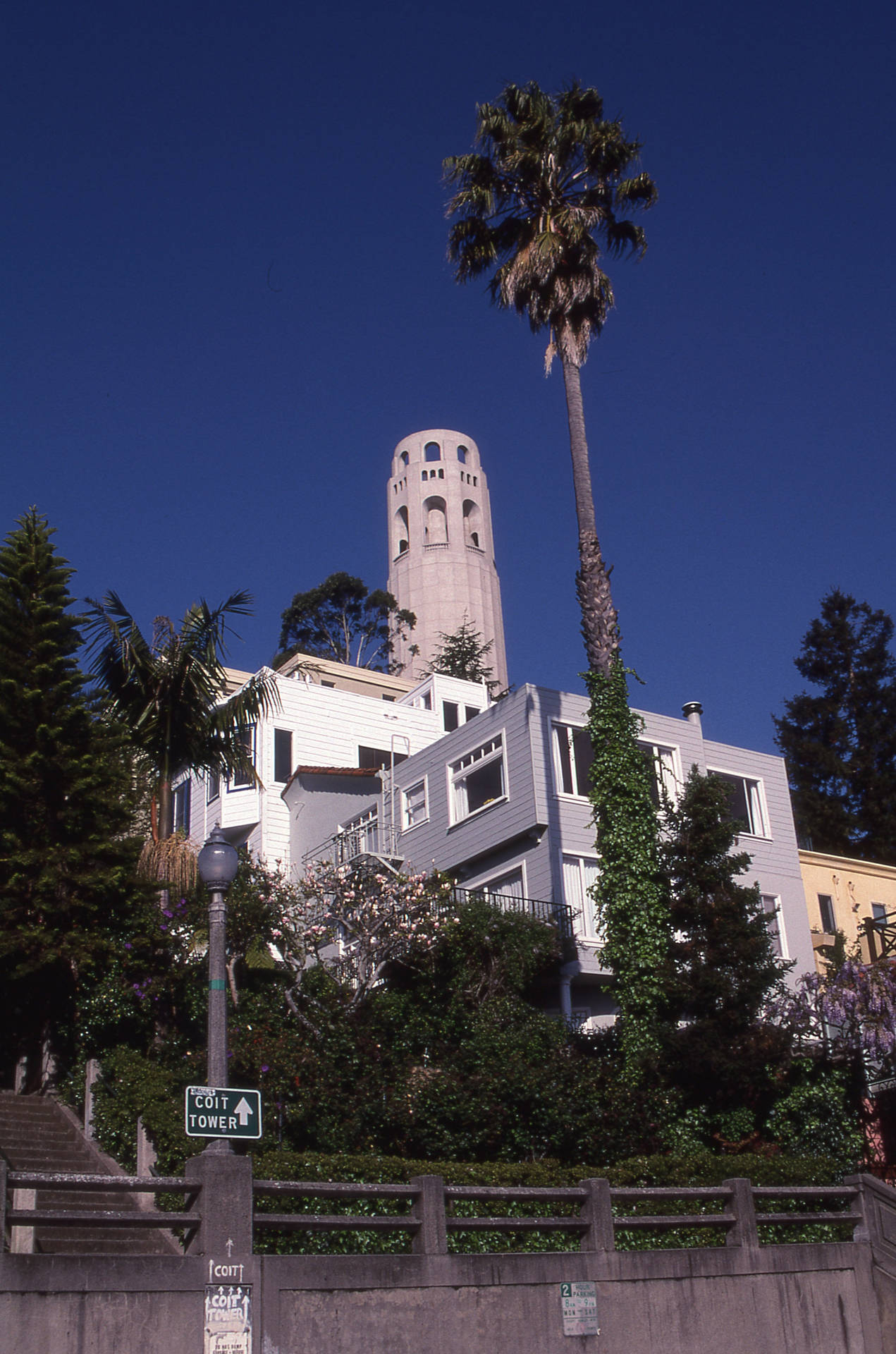 Coit Tower Street View Background