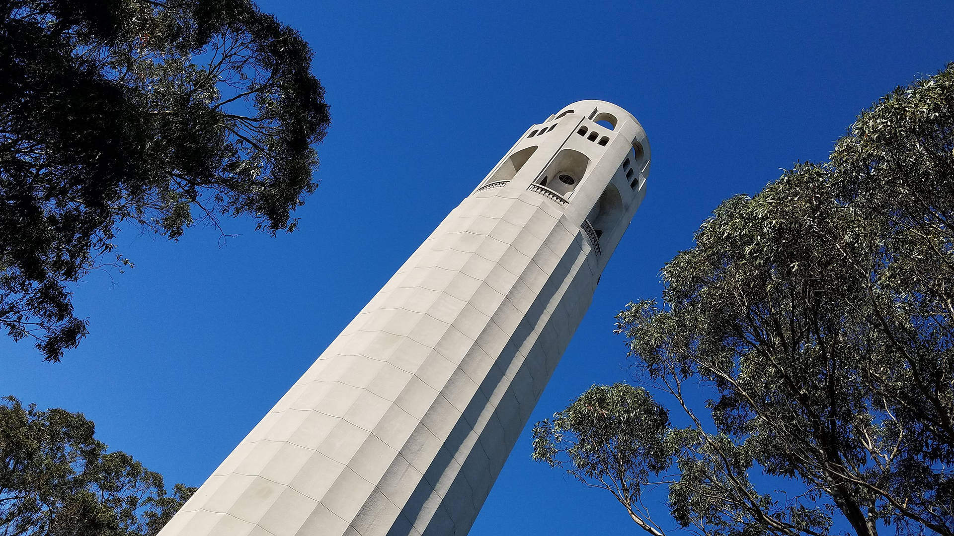 Coit Tower Worms Eye View Background