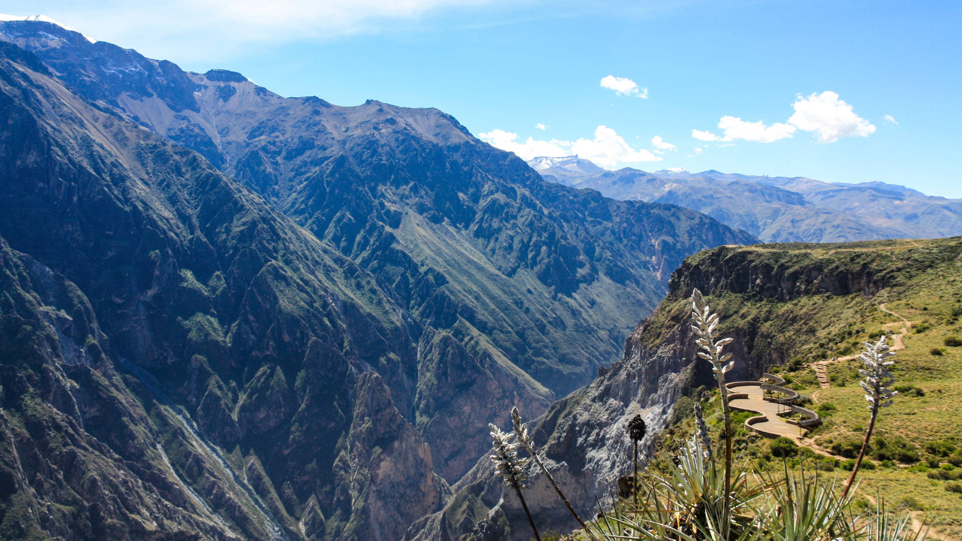 Colca Canyon Peru Background