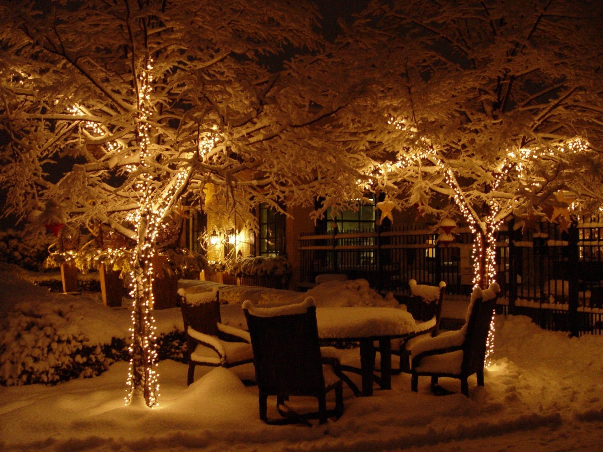 Cold Backyard Christmas Lights Background