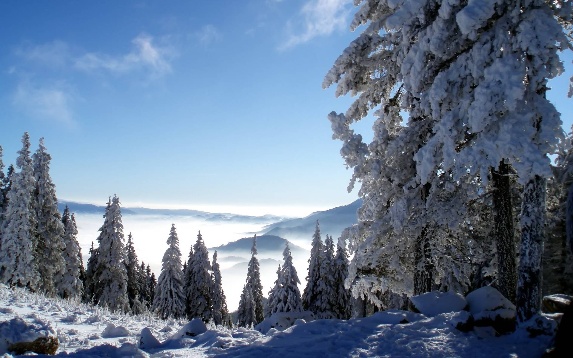Cold Mountain Scenic Landscape Background