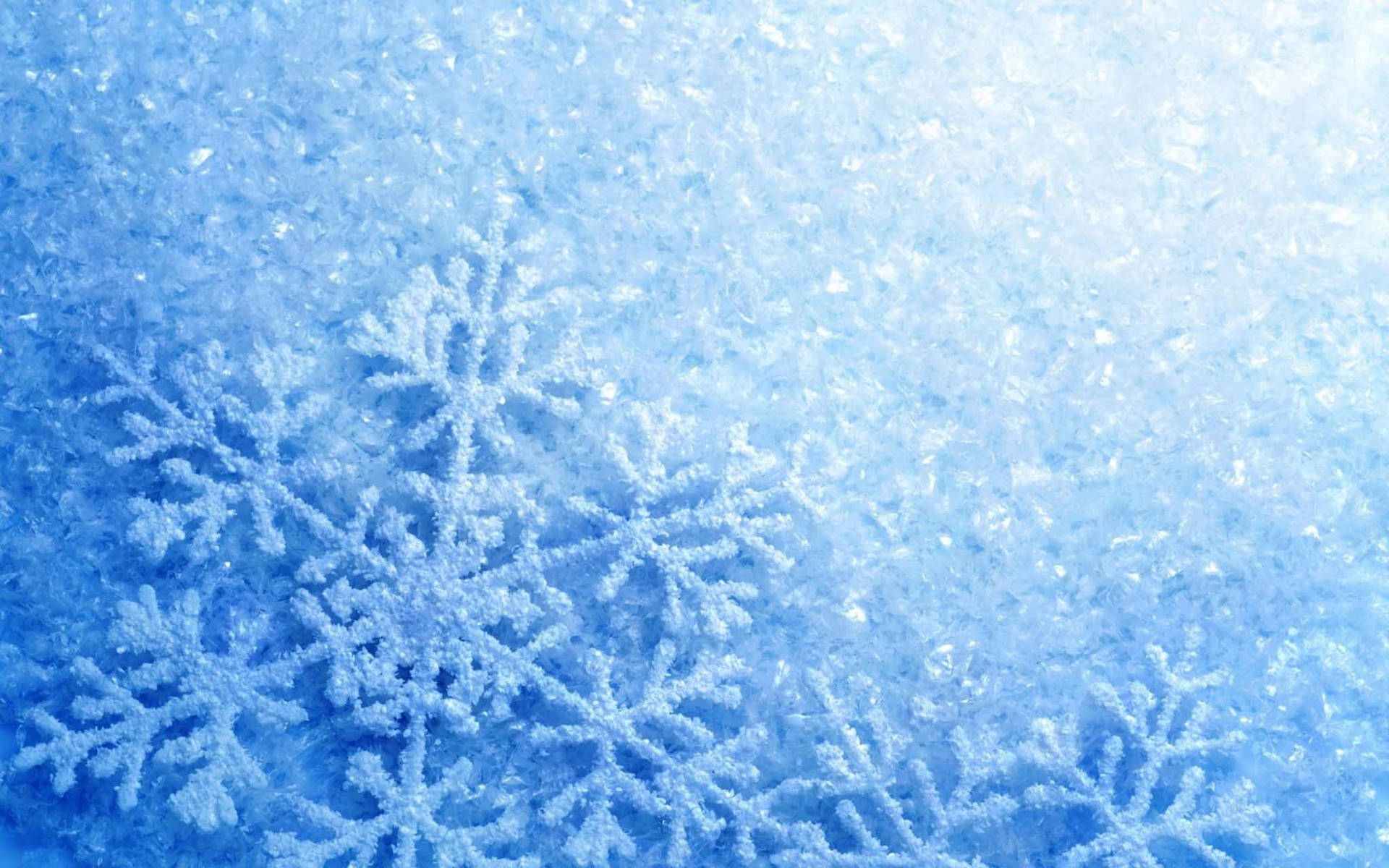 Cold Snowflake Shot Background