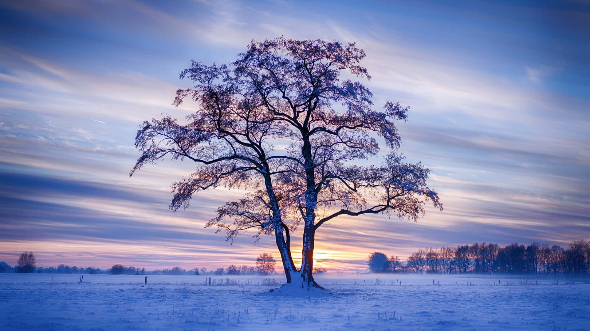 Cold Winter And A Hot Computer Background