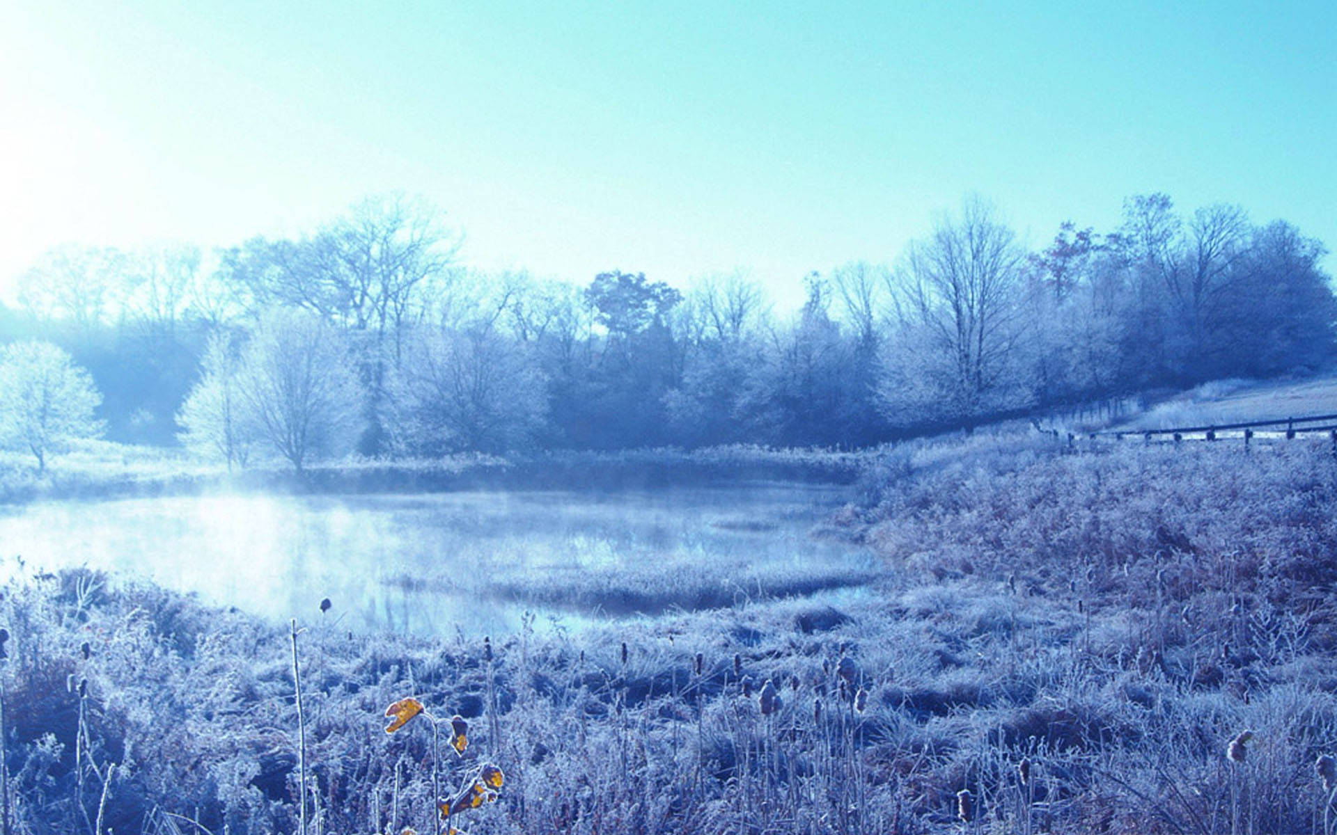 Cold Winter Day Background