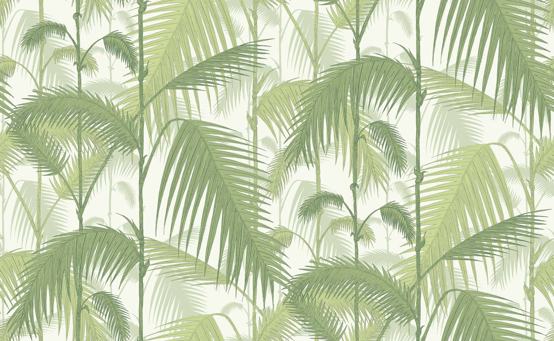 Cole & Son Palm Jungle Background