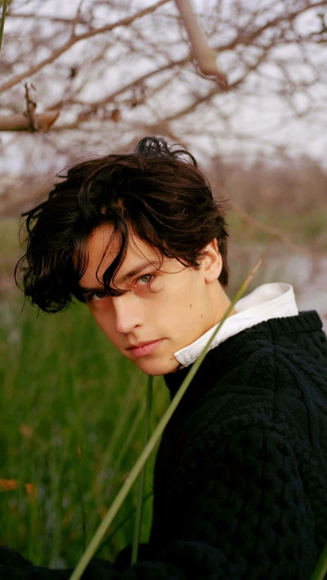 Cole Sprouse Looking Thoughtfully Into The Distance. Background