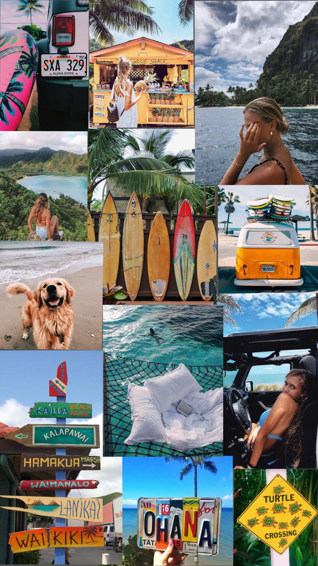 Collage Beach Hawaii Aesthetic Mobile Background